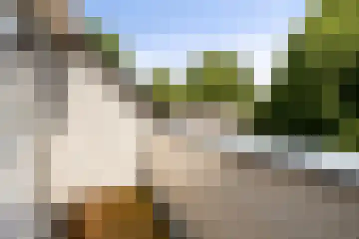 Markeweg 23 A Blesdijke thumbnail 28