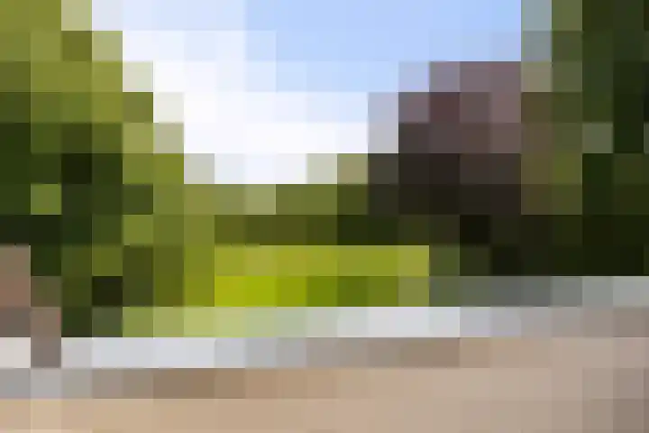 Markeweg 23 A Blesdijke thumbnail 29