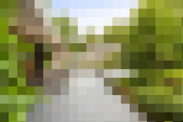 Markeweg 23 A Blesdijke thumbnail 30