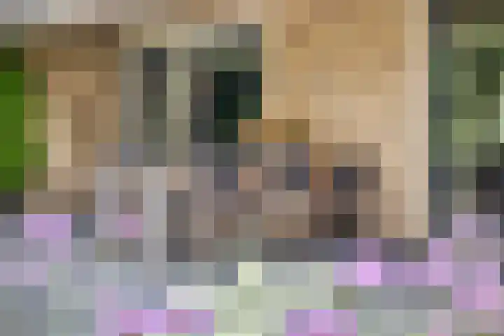 Markeweg 23 A Blesdijke thumbnail 31