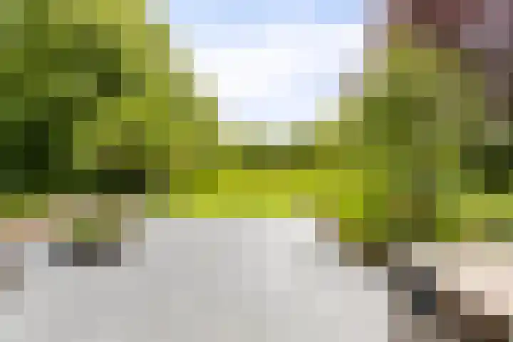Markeweg 23 A Blesdijke thumbnail 32