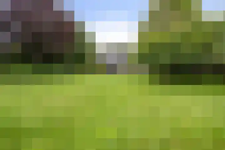 Markeweg 23 A Blesdijke thumbnail 33