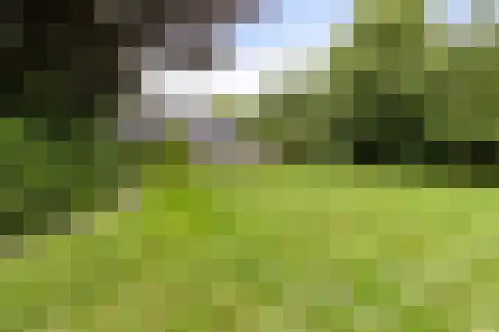 Markeweg 23 A Blesdijke thumbnail 34