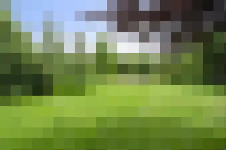 Markeweg 23 A Blesdijke thumbnail 35