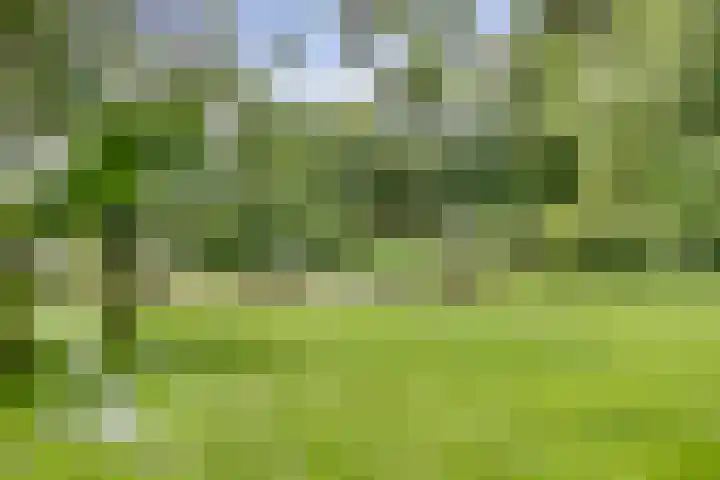 Markeweg 23 A Blesdijke thumbnail 36