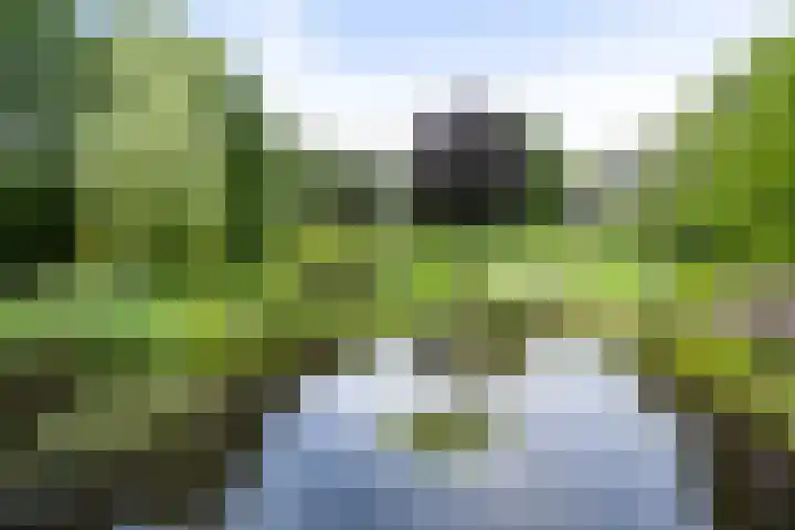 Markeweg 23 A Blesdijke thumbnail 37