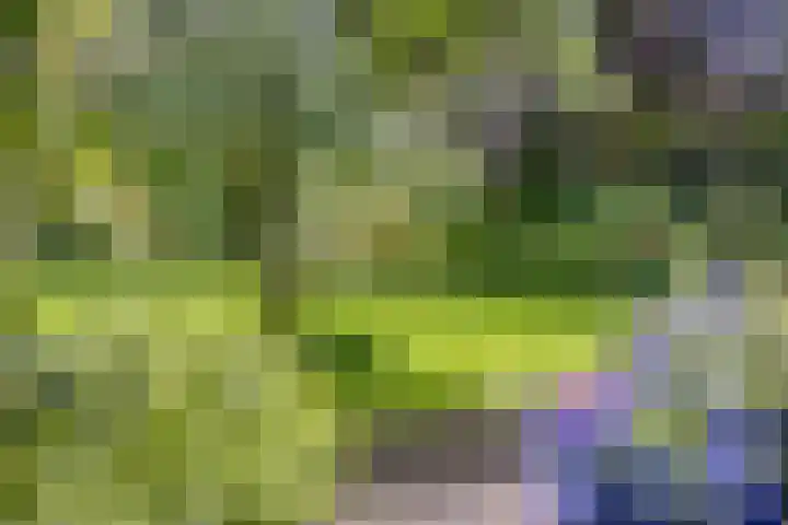 Markeweg 23 A Blesdijke thumbnail 38