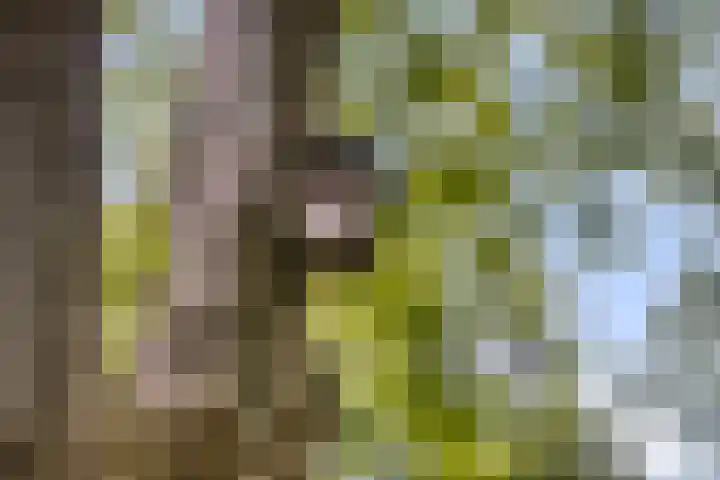 Markeweg 23 A Blesdijke thumbnail 40