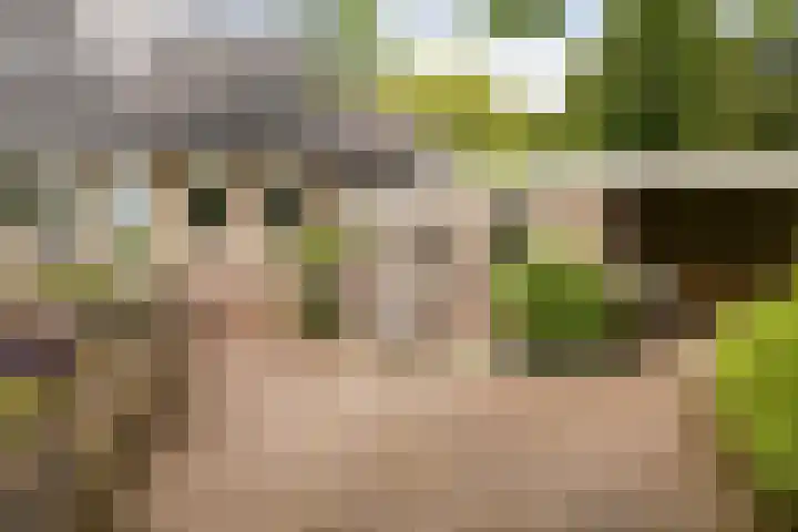 Markeweg 23 A Blesdijke thumbnail 41