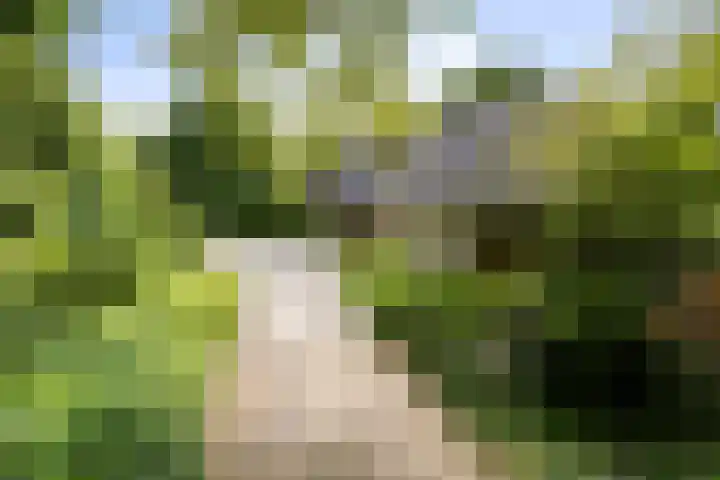 Markeweg 23 A Blesdijke thumbnail 46