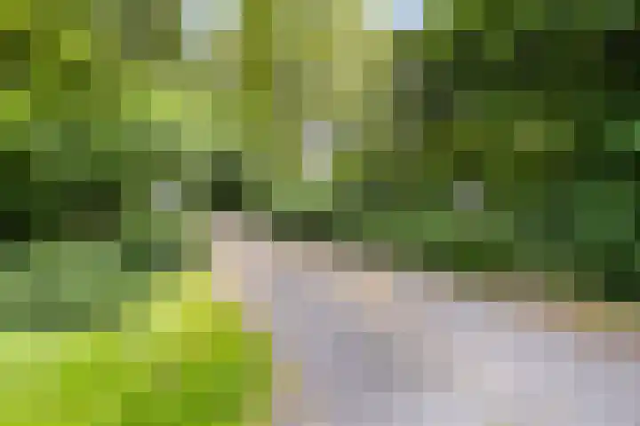 Markeweg 23 A Blesdijke thumbnail 47