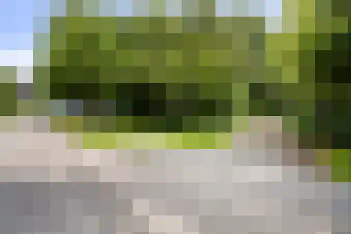 Markeweg 23 A Blesdijke thumbnail 48