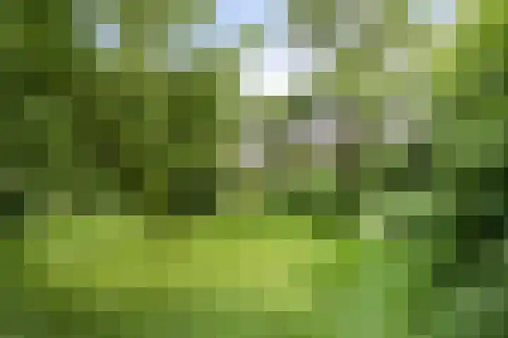 Markeweg 23 A Blesdijke thumbnail 49