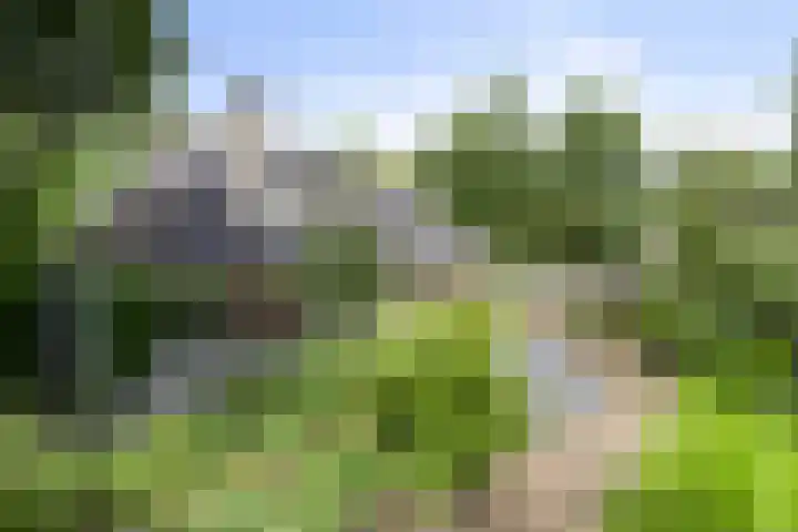 Markeweg 23 A Blesdijke thumbnail 55