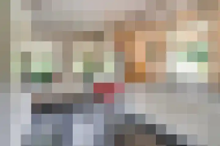 Markeweg 23 A Blesdijke thumbnail 7