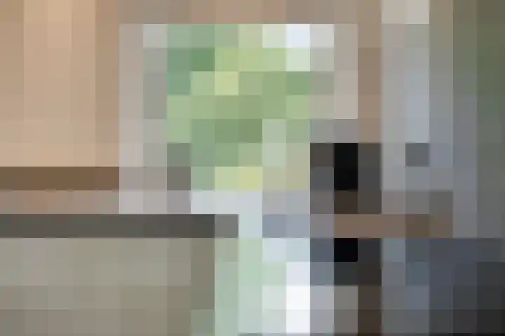 Markeweg 23 A Blesdijke thumbnail 8