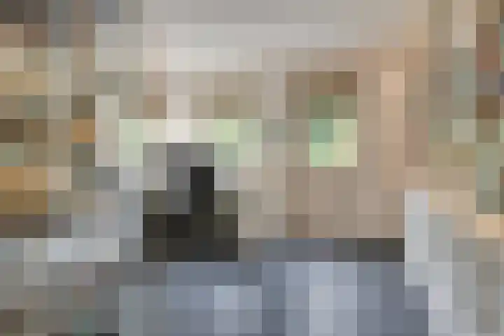Markeweg 23 A Blesdijke thumbnail 9