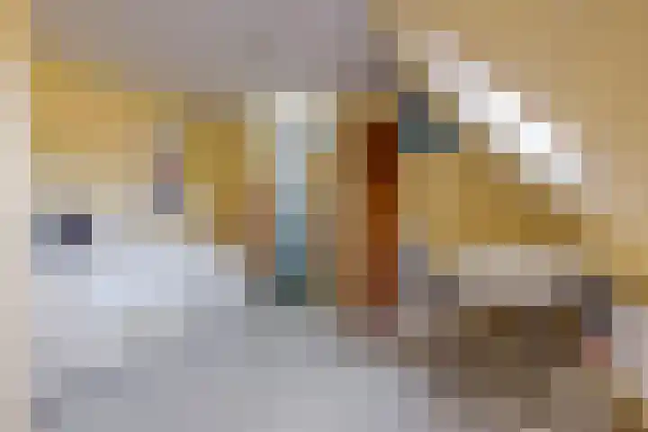 Markeweg 4 Loon thumbnail 47