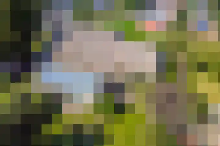 Markeweg 4 Loon thumbnail 5