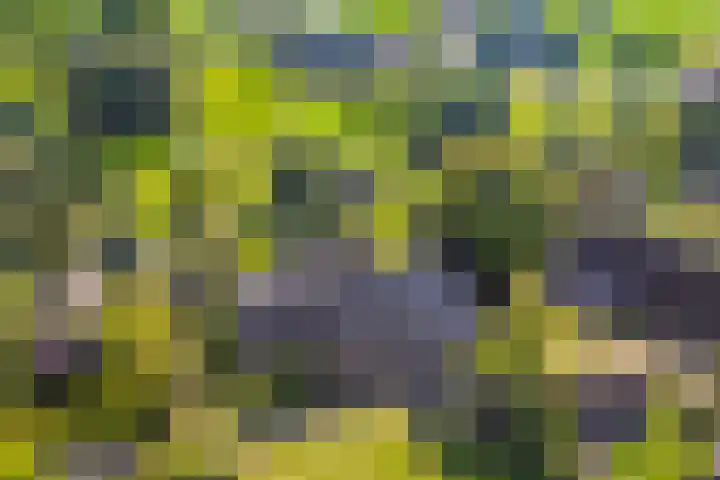 Markeweg 4 Loon thumbnail 6