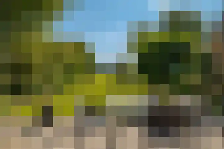 Markeweg 4 Loon thumbnail 65