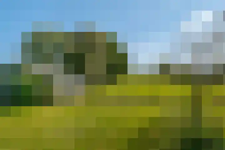 Markeweg 4 Loon thumbnail 66