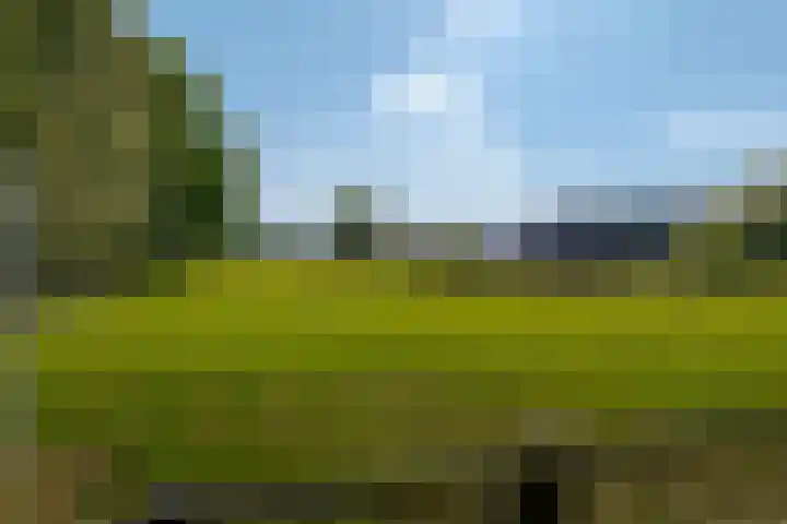 Markeweg 4 Loon thumbnail 67
