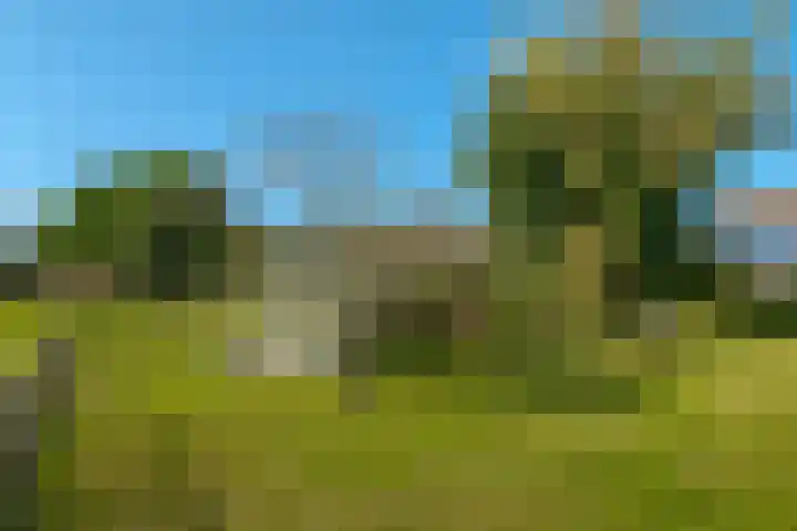 Markeweg 4 Loon thumbnail 68