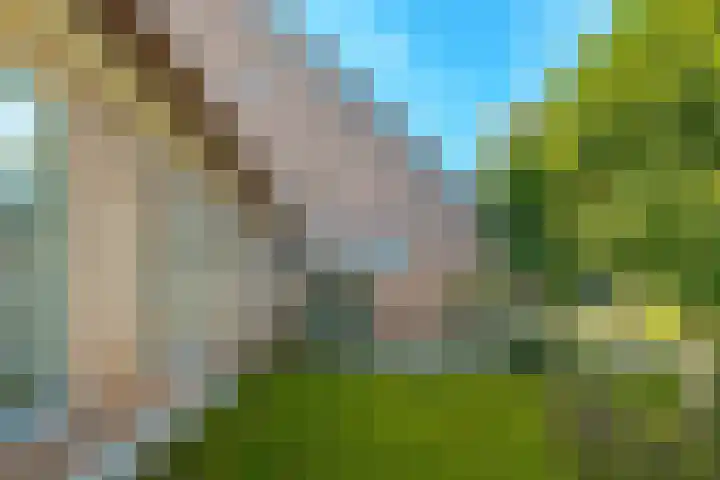 Markeweg 4 Loon thumbnail 70