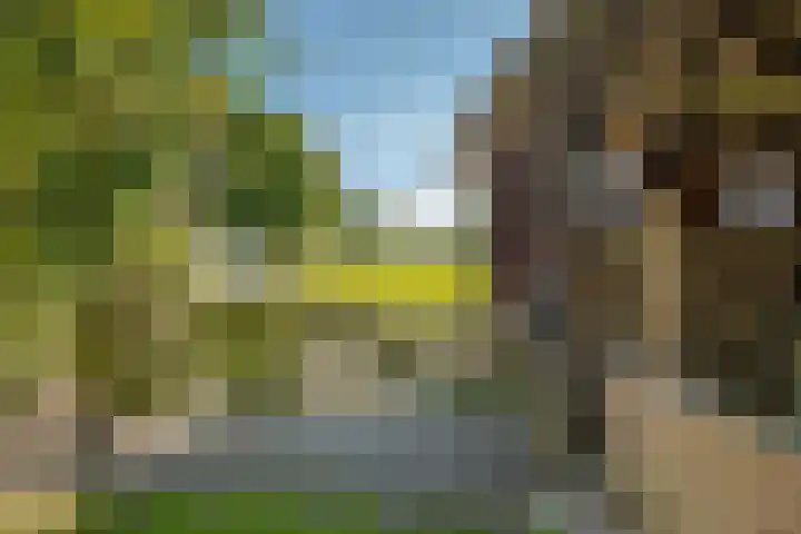 Markeweg 4 Loon thumbnail 72