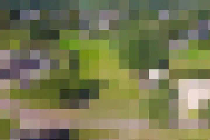 Markeweg 4 Loon thumbnail 78