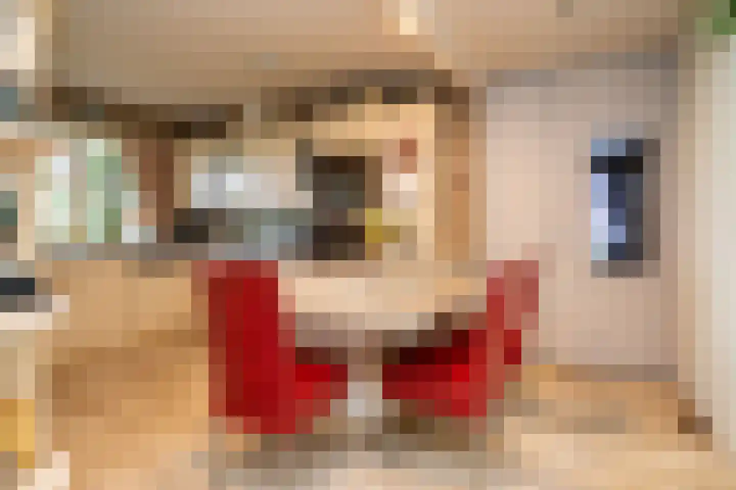 Markeweg 44 Losser thumbnail 15