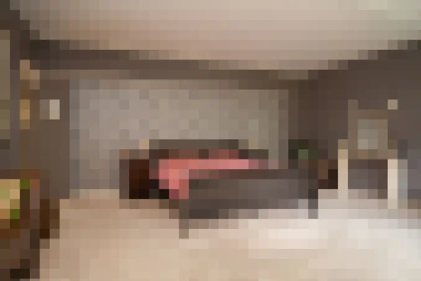Markeweg 44 Losser thumbnail 20