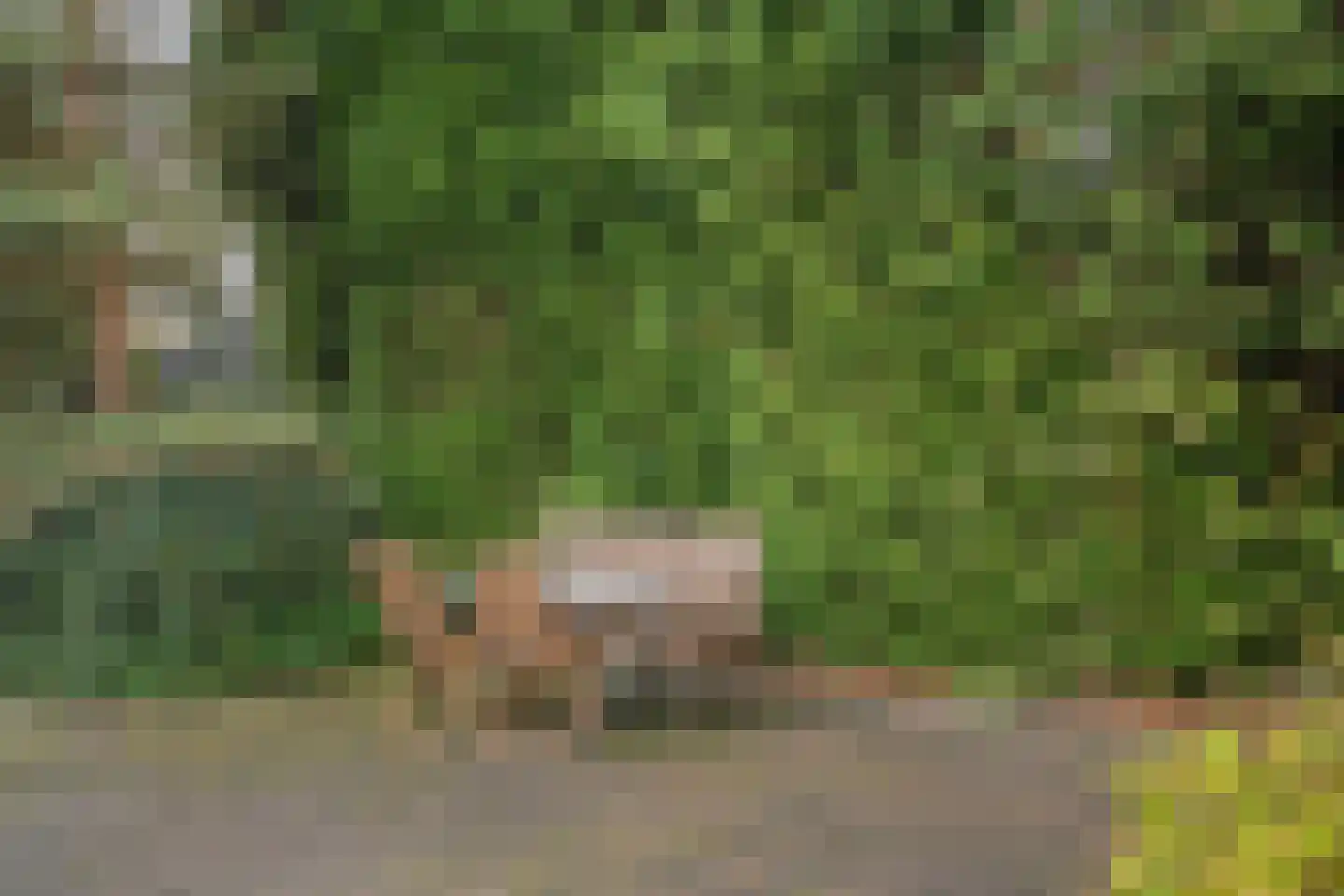 Markeweg 44 Losser thumbnail 37