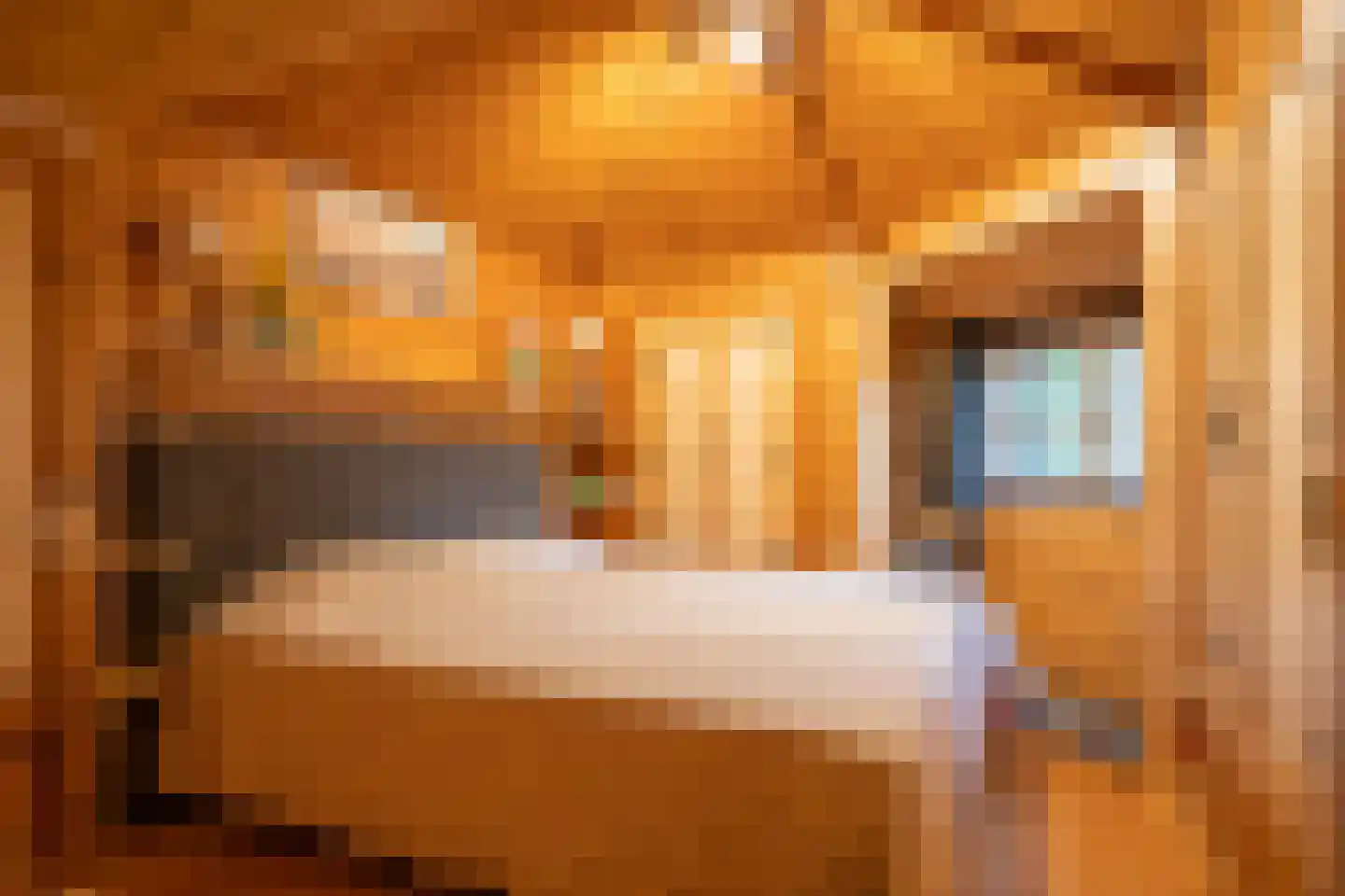 Markeweg 44 Losser thumbnail 46