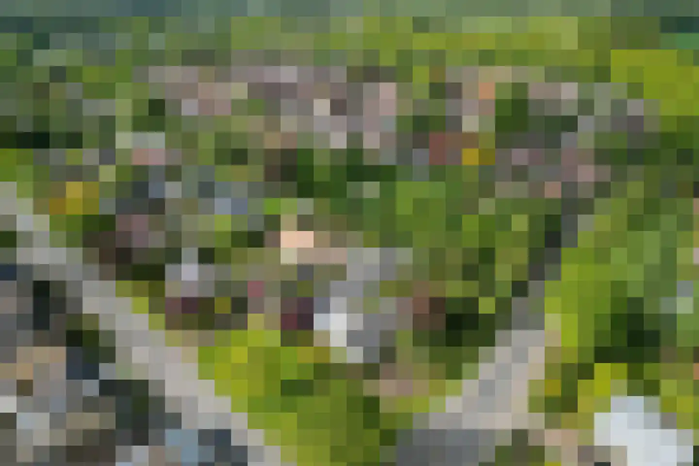 Markeweg 44 Losser thumbnail 5