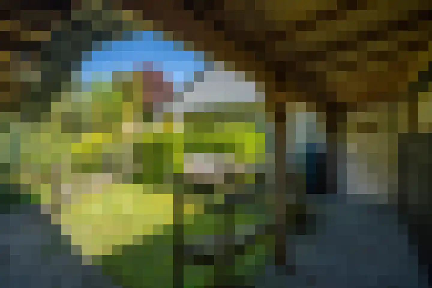 Markeweg 44 Losser thumbnail 55