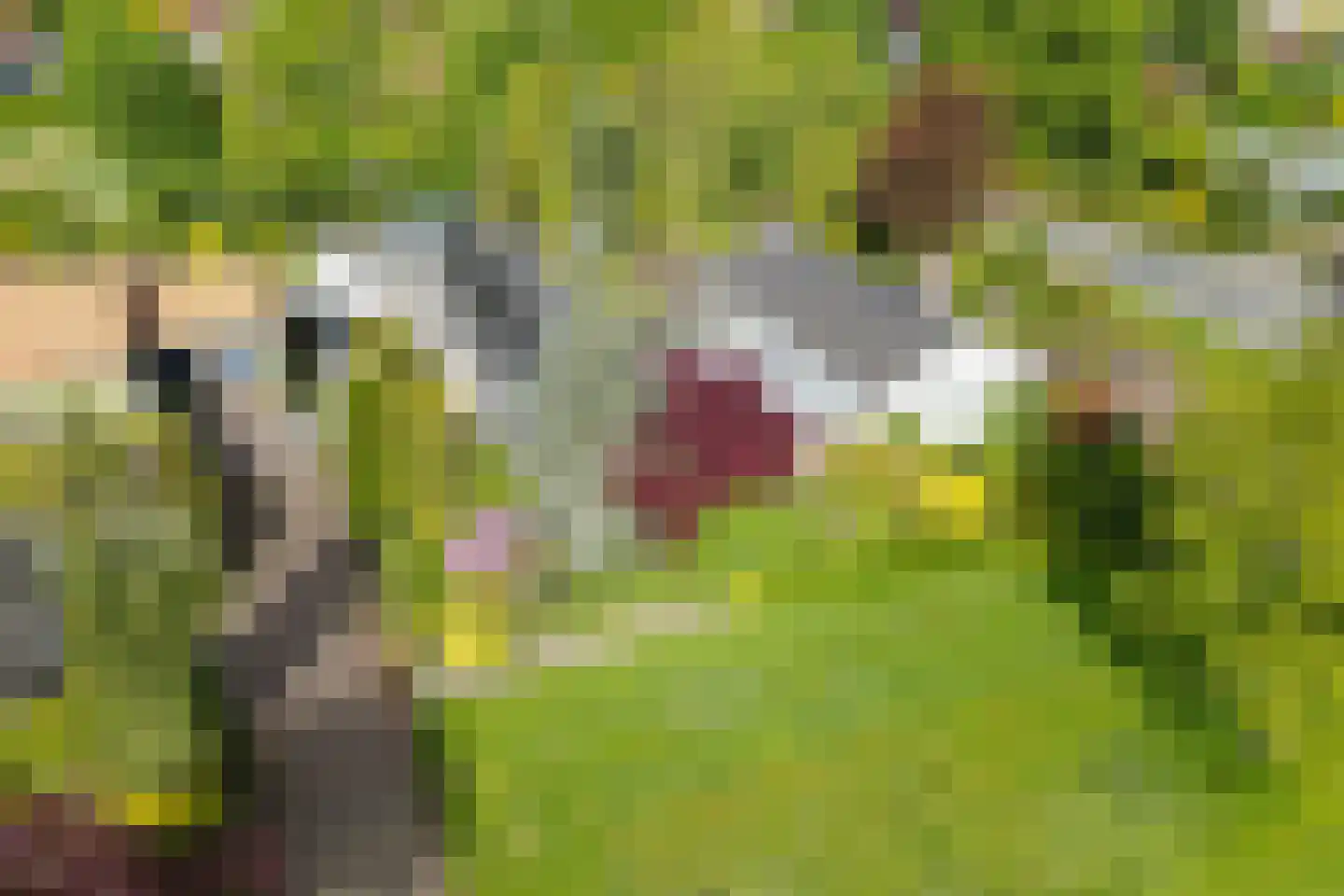 Markeweg 44 Losser thumbnail 60