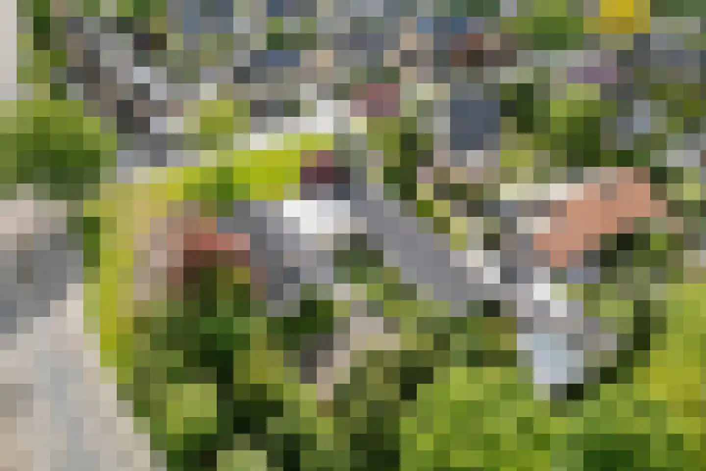 Markeweg 44 Losser thumbnail 61