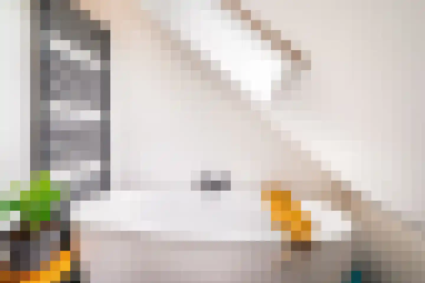 Markeweg 5 Glimmen thumbnail 61