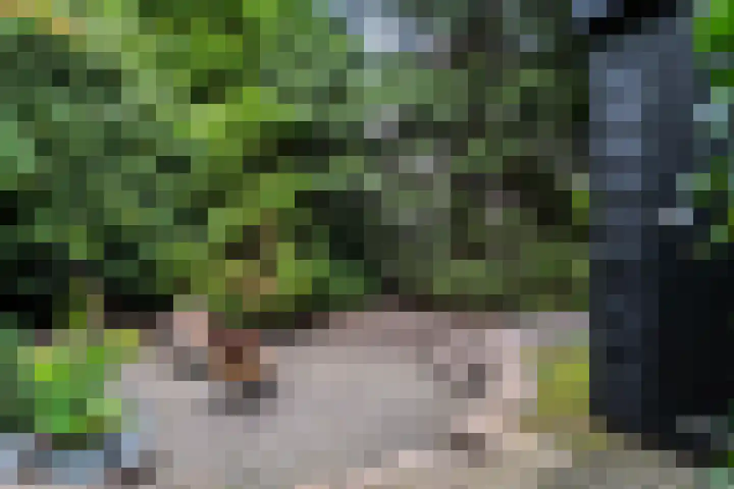 Markeweg 5 Glimmen thumbnail 77