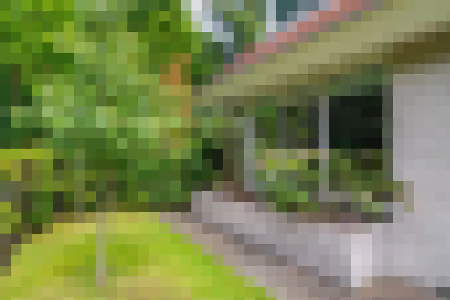 Markeweg 5 Glimmen thumbnail 77