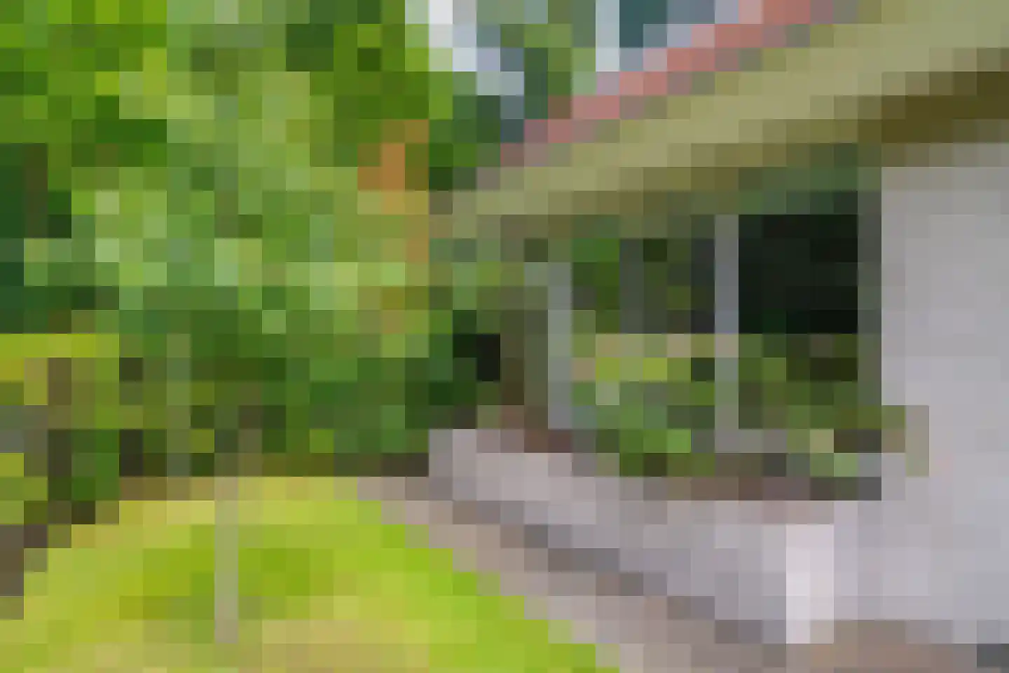 Markeweg 5 Glimmen thumbnail 78