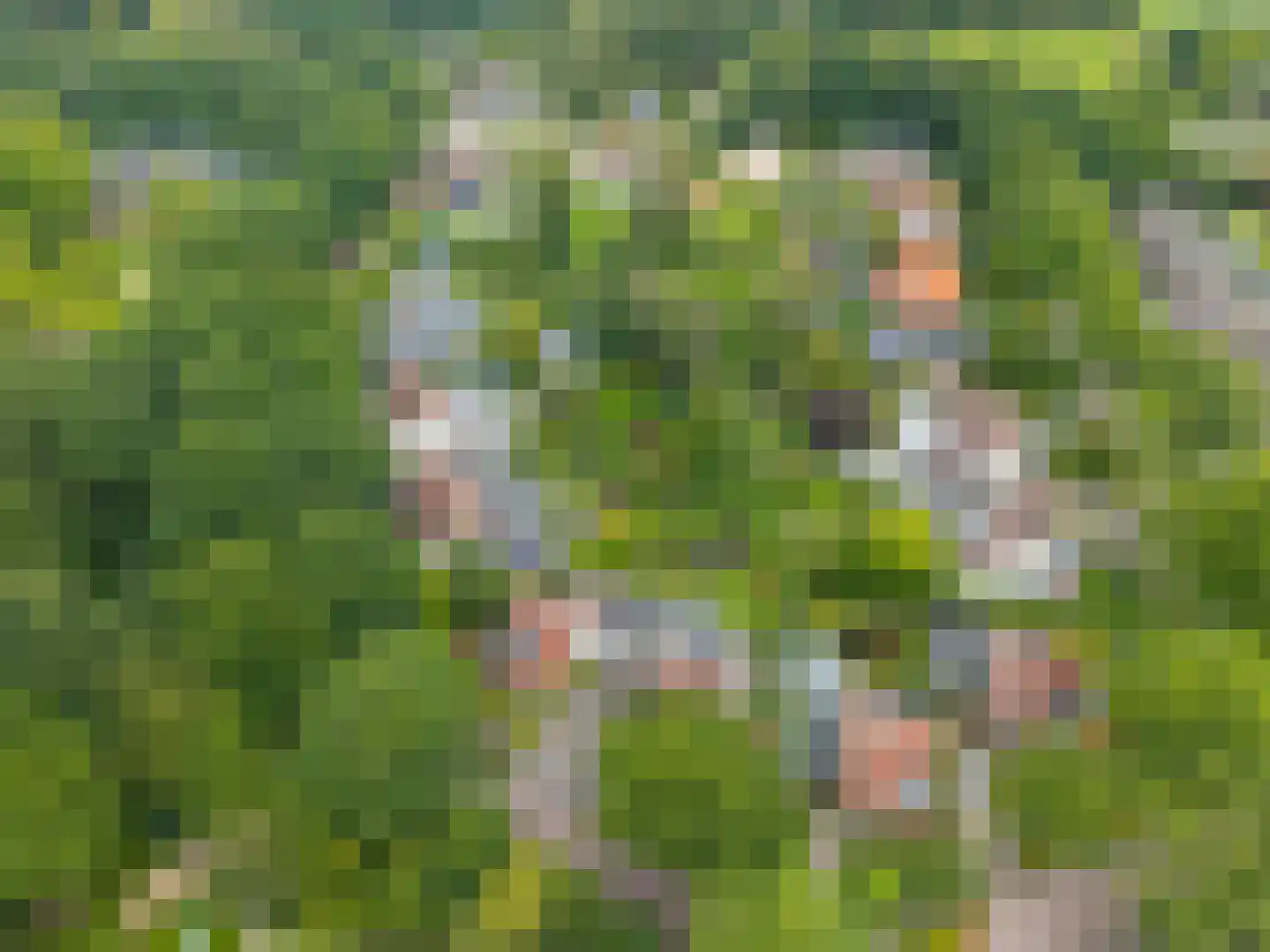 Markeweg 5 Glimmen thumbnail 83