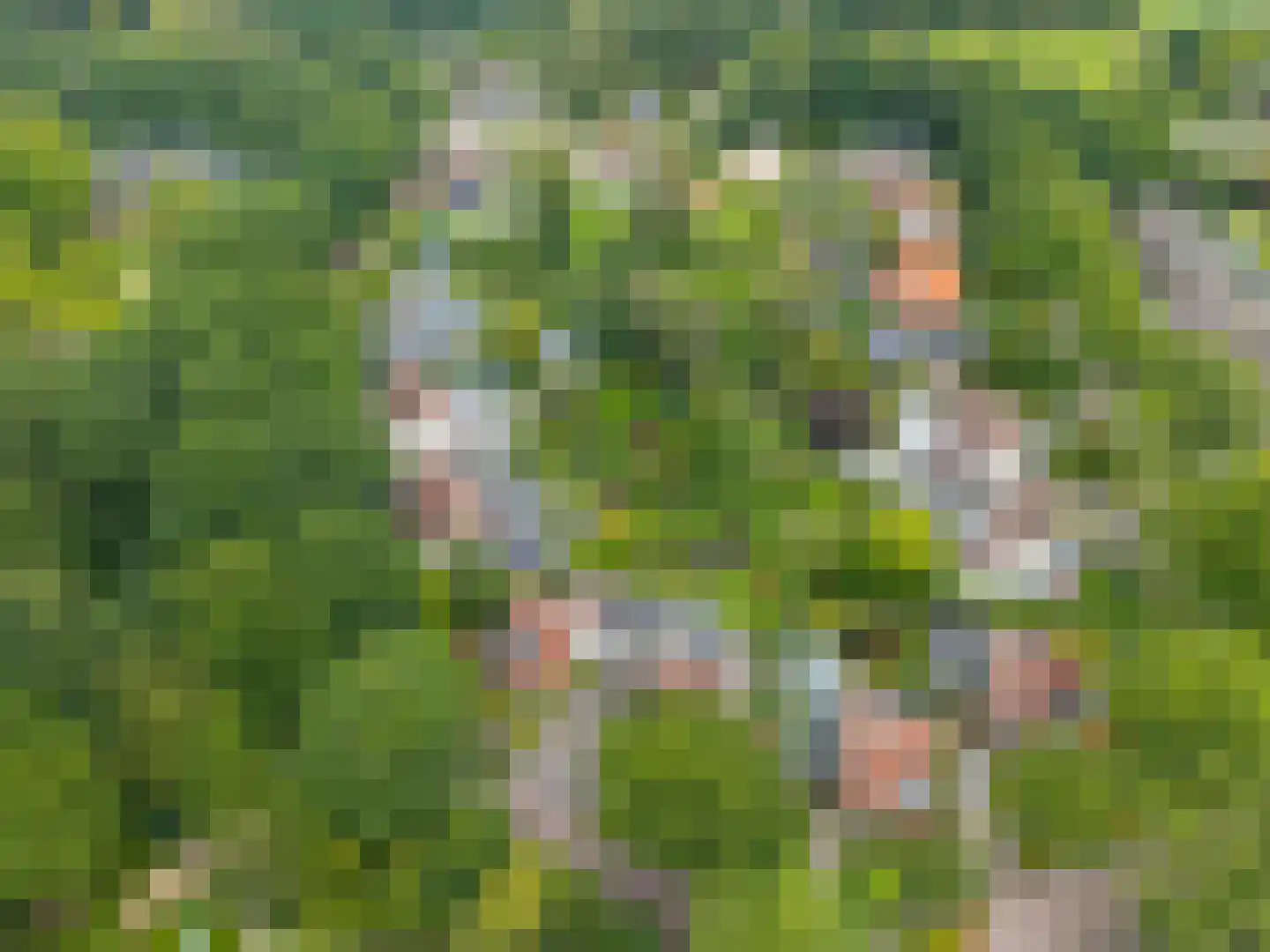 Markeweg 5 Glimmen thumbnail 84