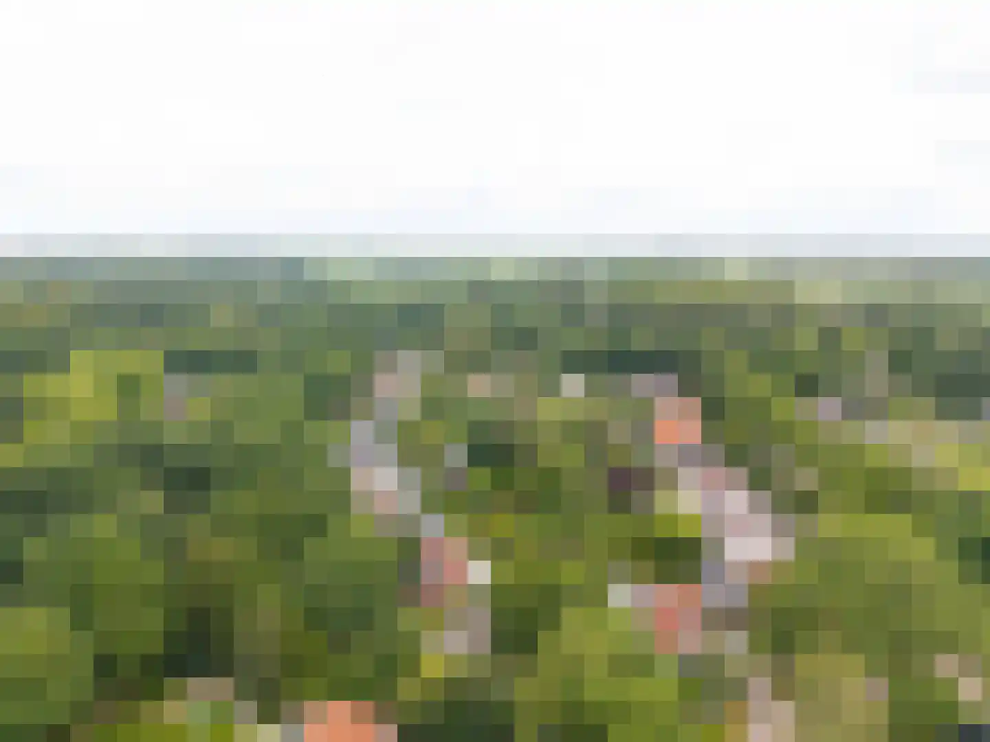 Markeweg 5 Glimmen thumbnail 84