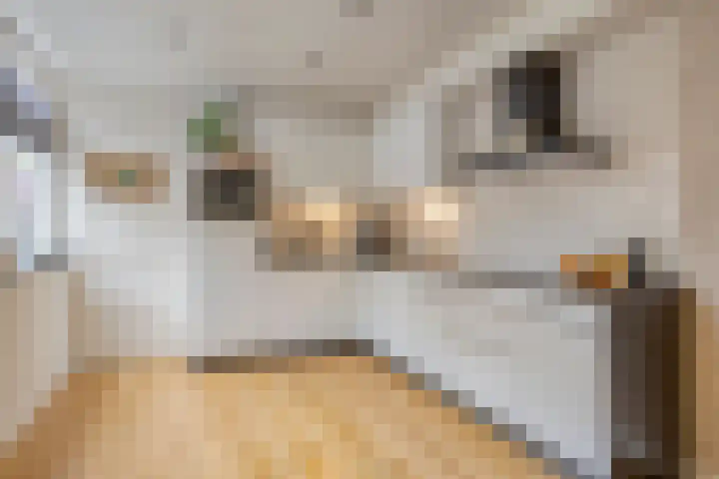 Markeweg 67 Losser thumbnail 17