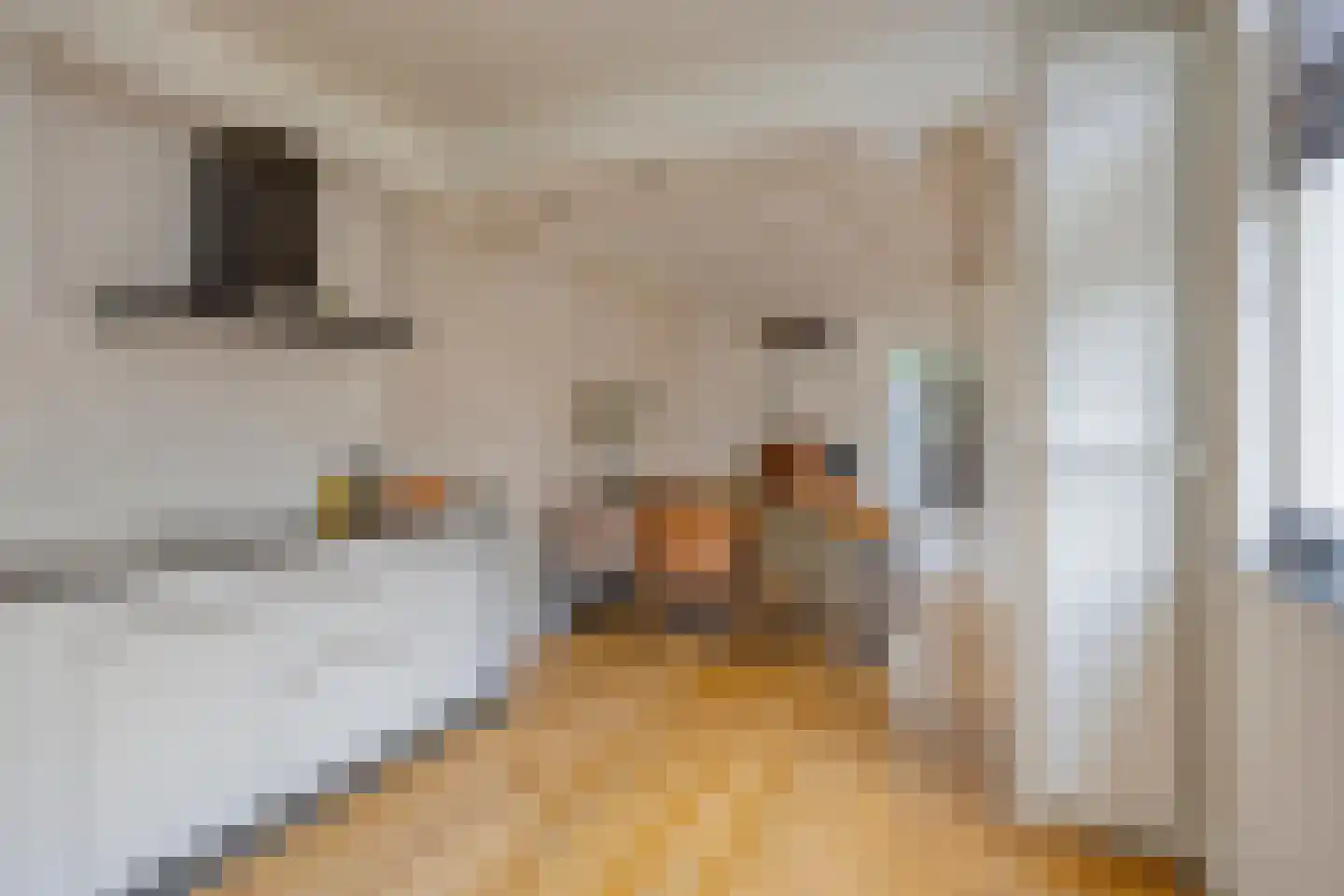Markeweg 67 Losser thumbnail 21