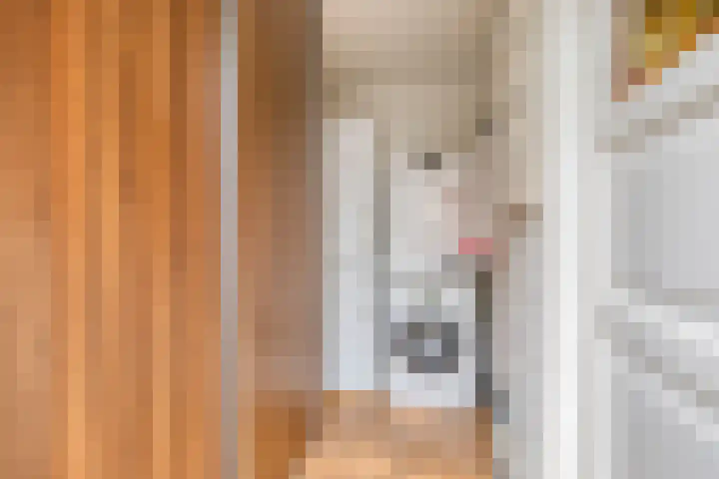 Markeweg 67 Losser thumbnail 22
