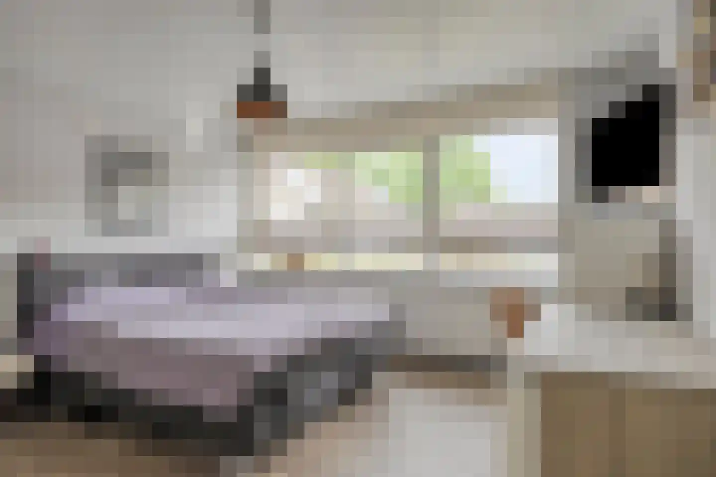Markeweg 67 Losser thumbnail 29